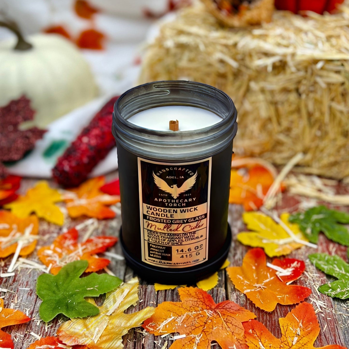 Fall Frosted Candle | Mulled Cider | 14.6 oz