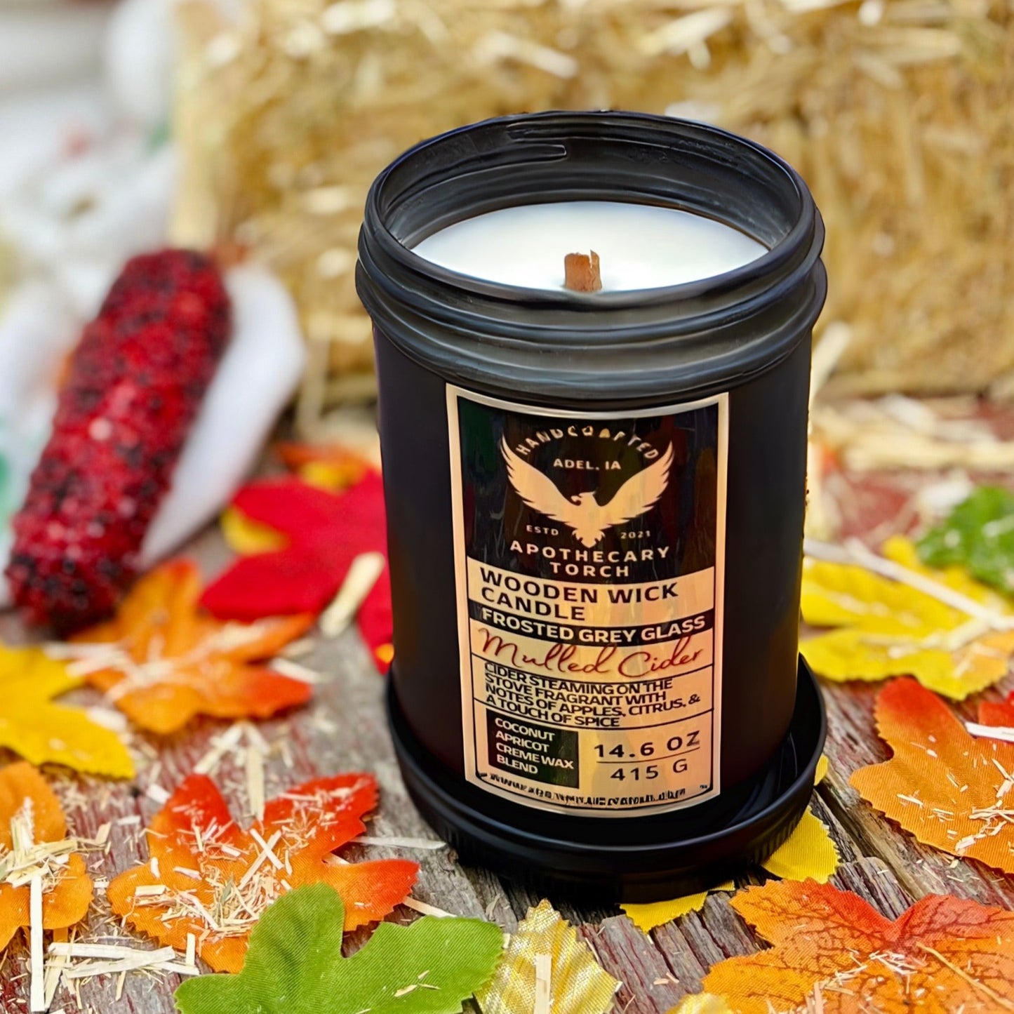 Fall Frosted Candle | Mulled Cider | 14.6 oz